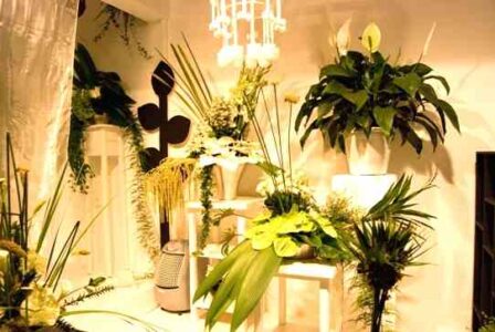 Steps to Guard Against Indoor Air Pollution Image